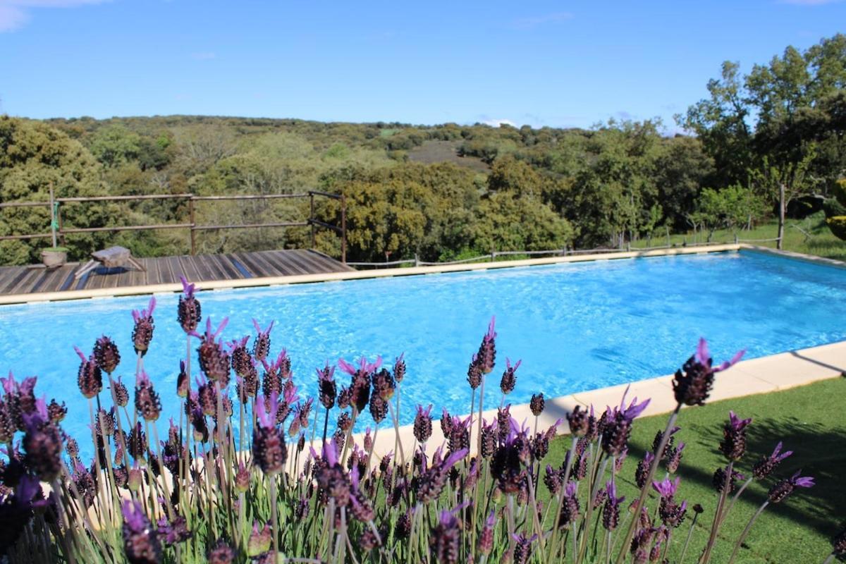Quinta Da Devesa -B2 Hotel Vinhais Exterior foto